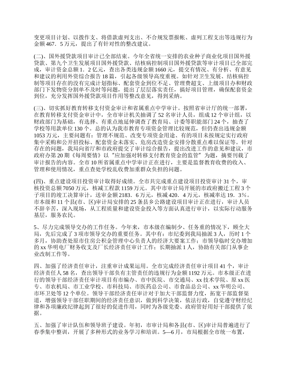 审计半年工作总结.docx_第2页