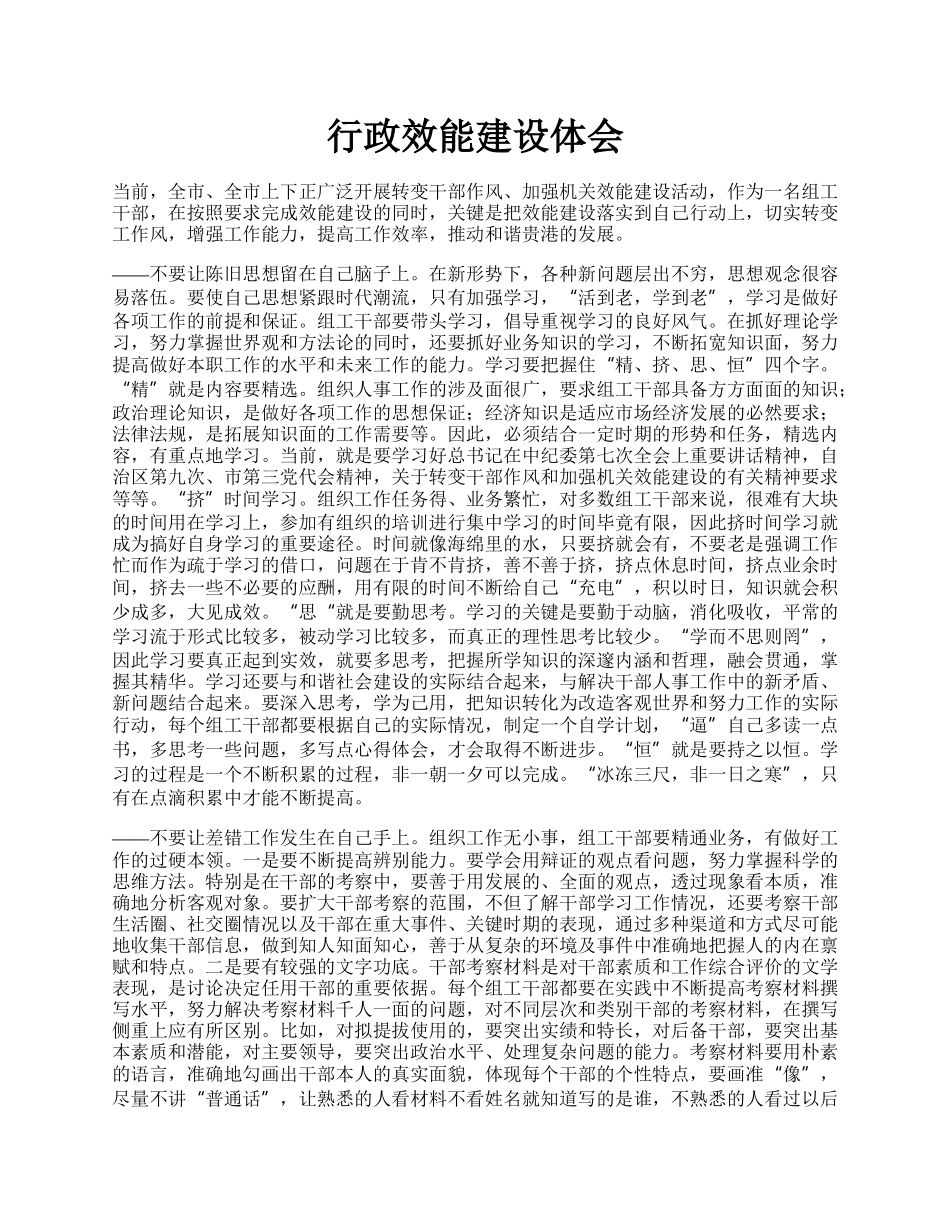 行政效能建设体会.docx_第1页