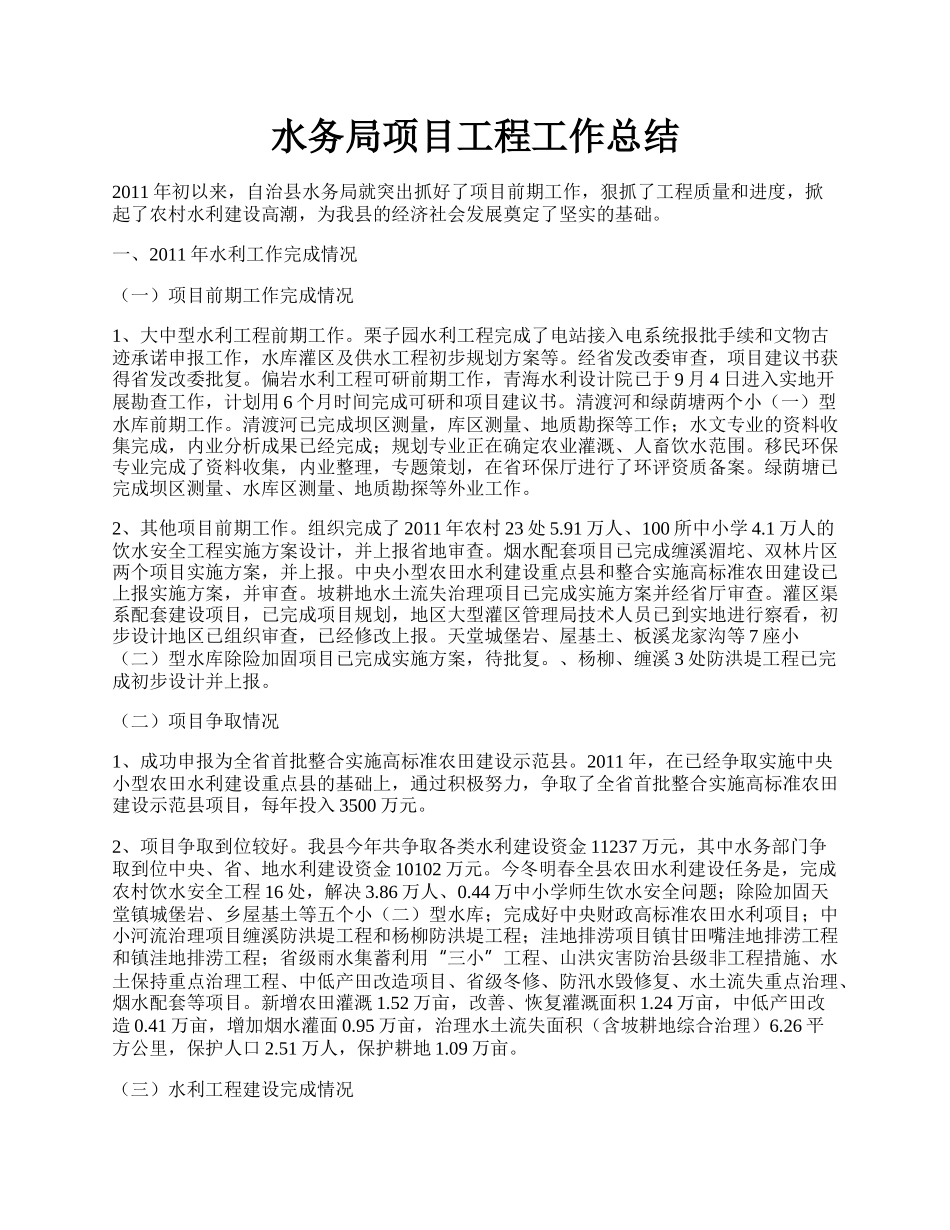 水务局项目工程工作总结.docx_第1页