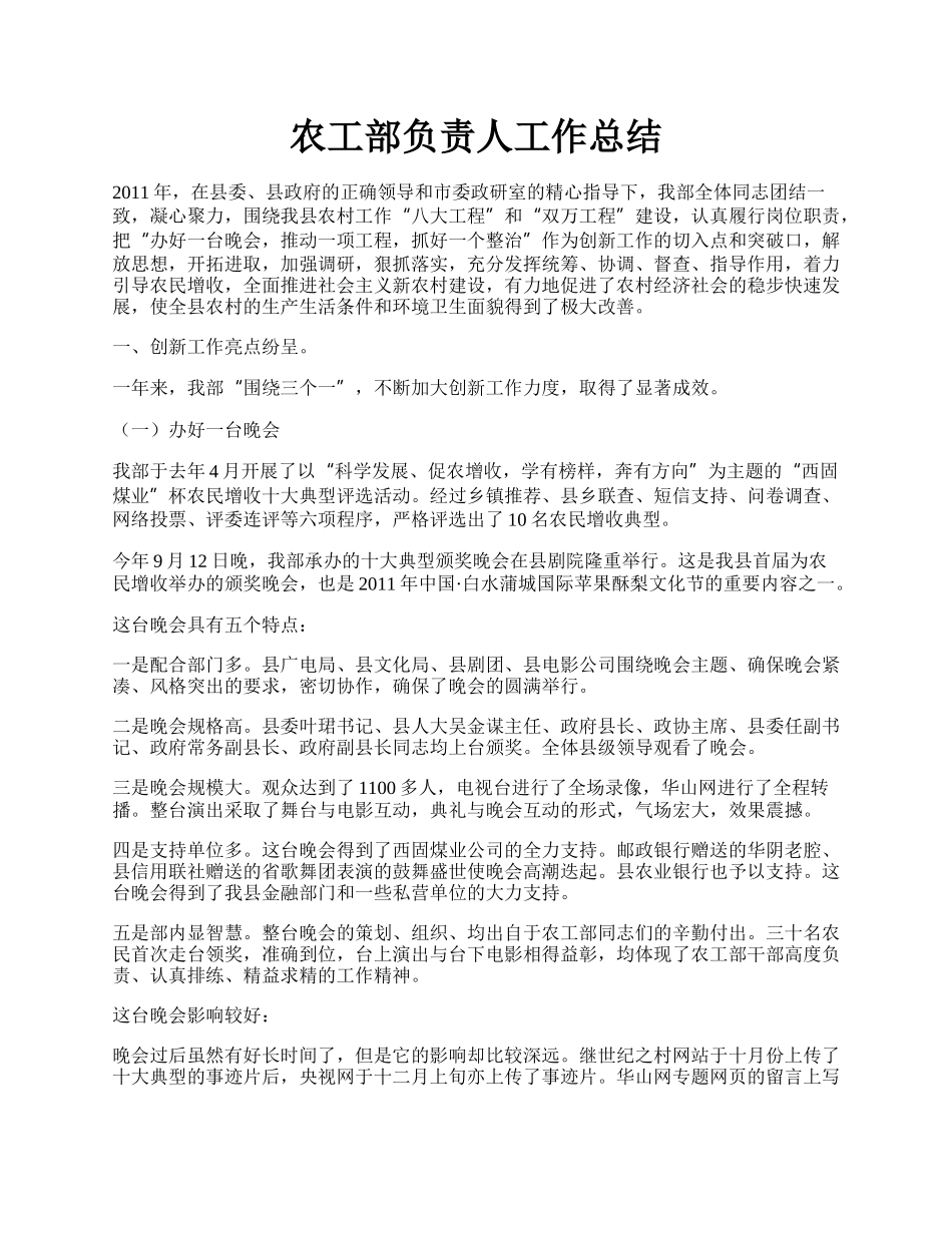 农工部负责人工作总结.docx_第1页