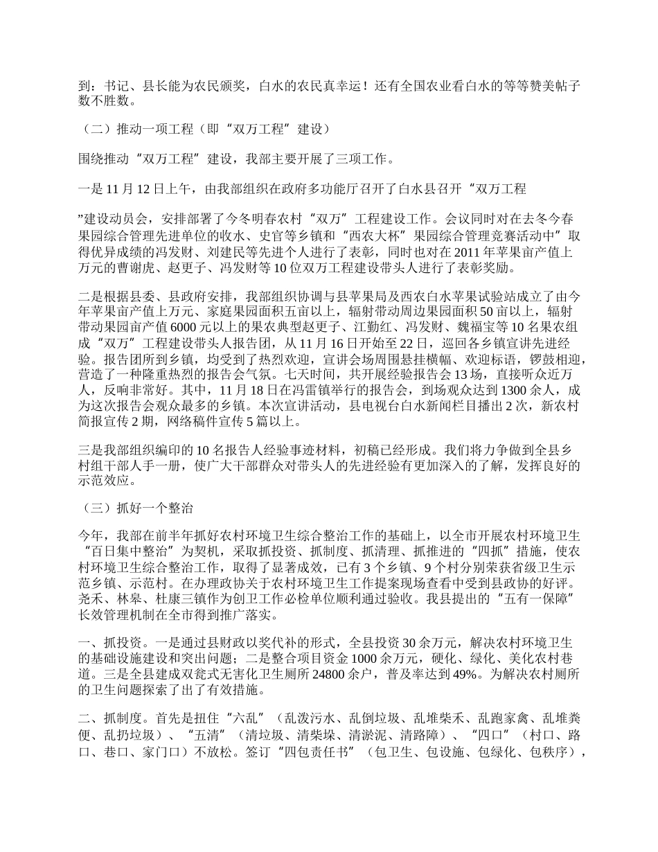 农工部负责人工作总结.docx_第2页