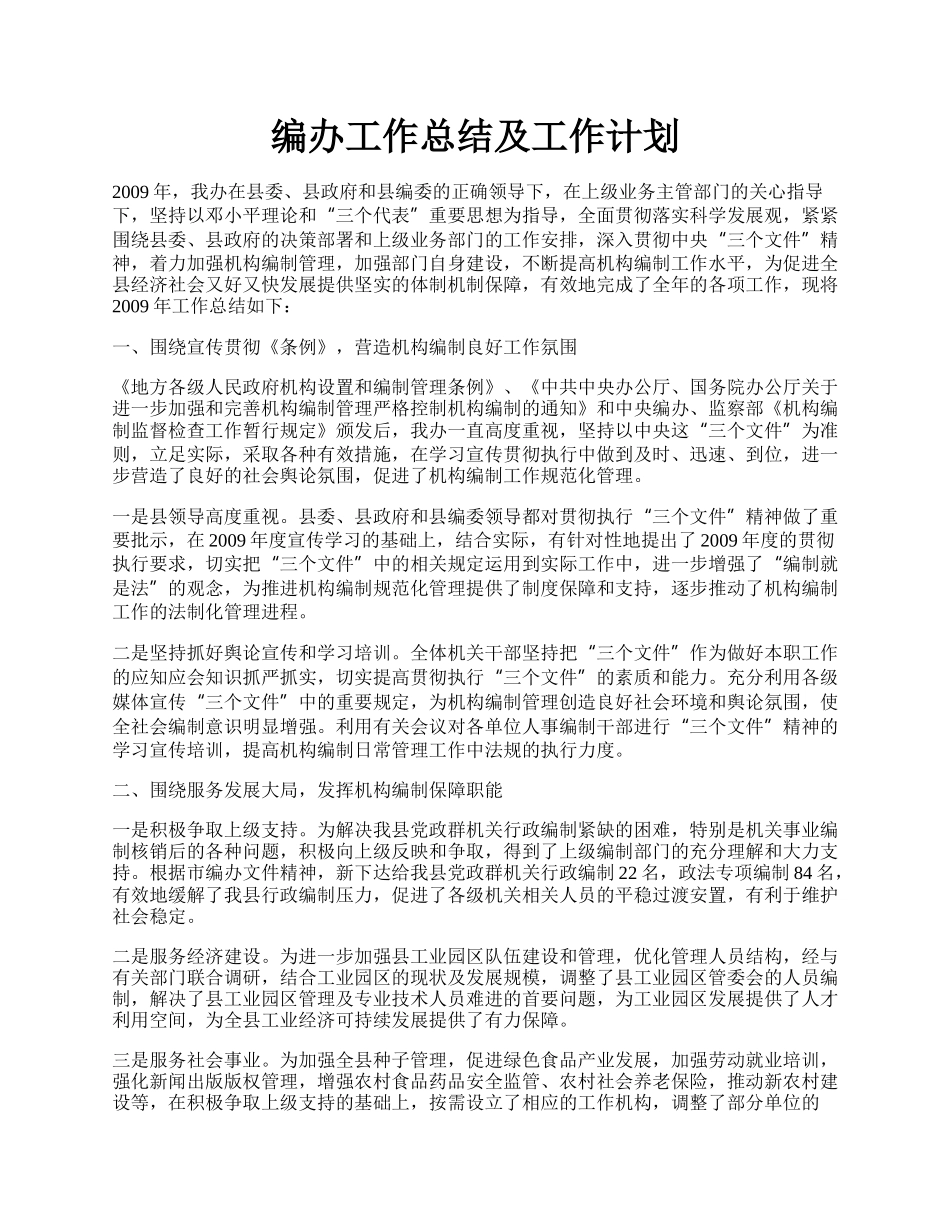 编办工作总结及工作计划.docx_第1页