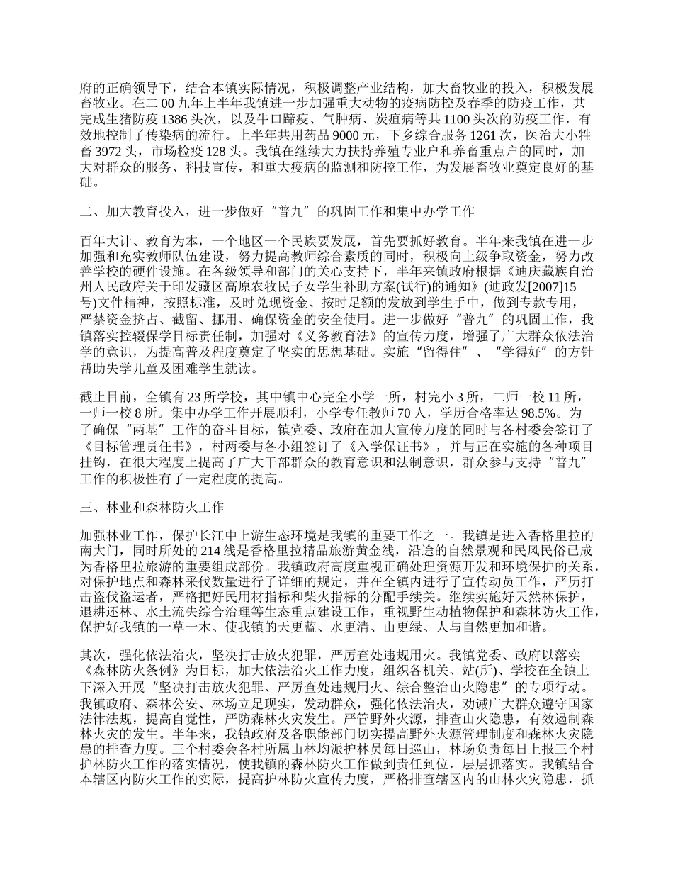 镇上半年政府工作总结.docx_第2页