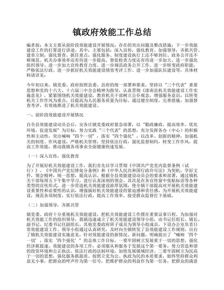 镇政府效能工作总结.docx_第1页