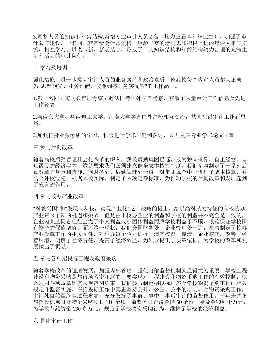 学校审计处审计工作总结.docx_第2页