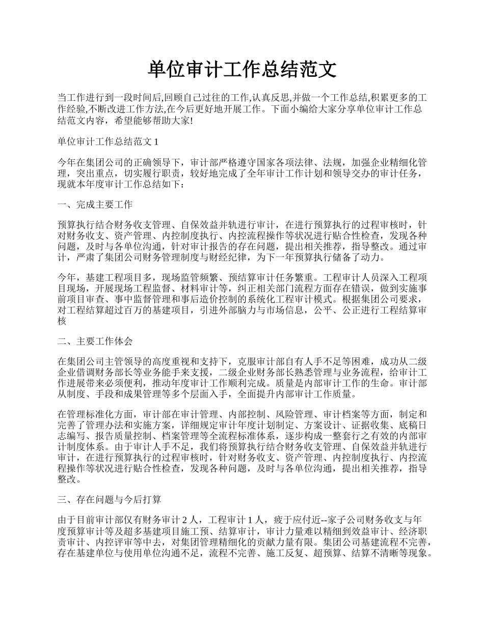 单位审计工作总结范文.docx_第1页