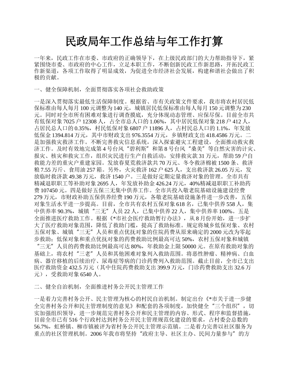 民政局年工作总结与年工作打算.docx_第1页