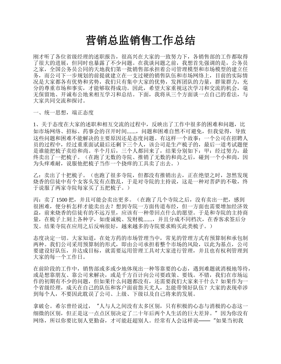 营销总监销售工作总结.docx_第1页