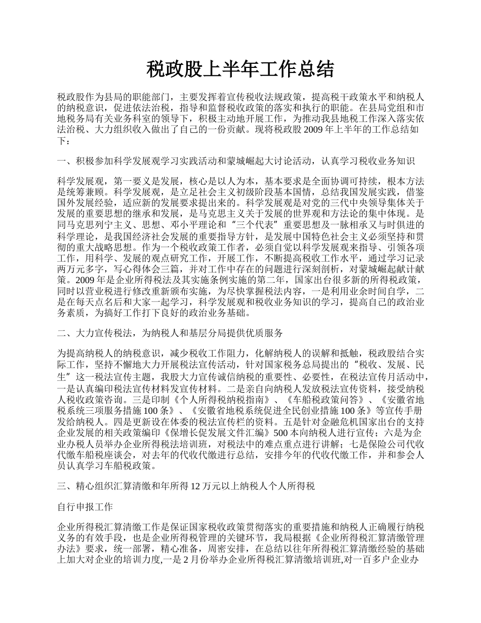 税政股上半年工作总结.docx_第1页