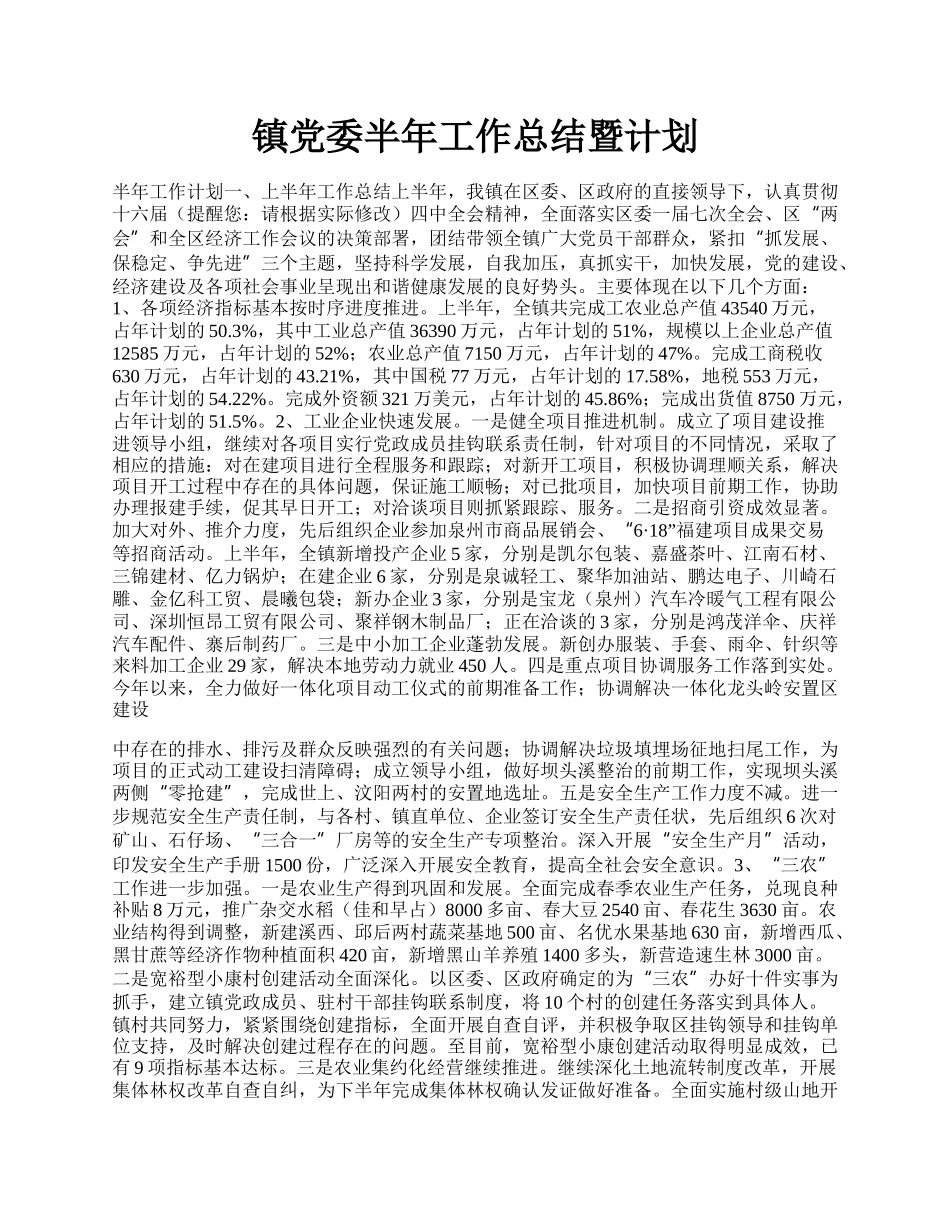 镇党委半年工作总结暨计划.docx_第1页