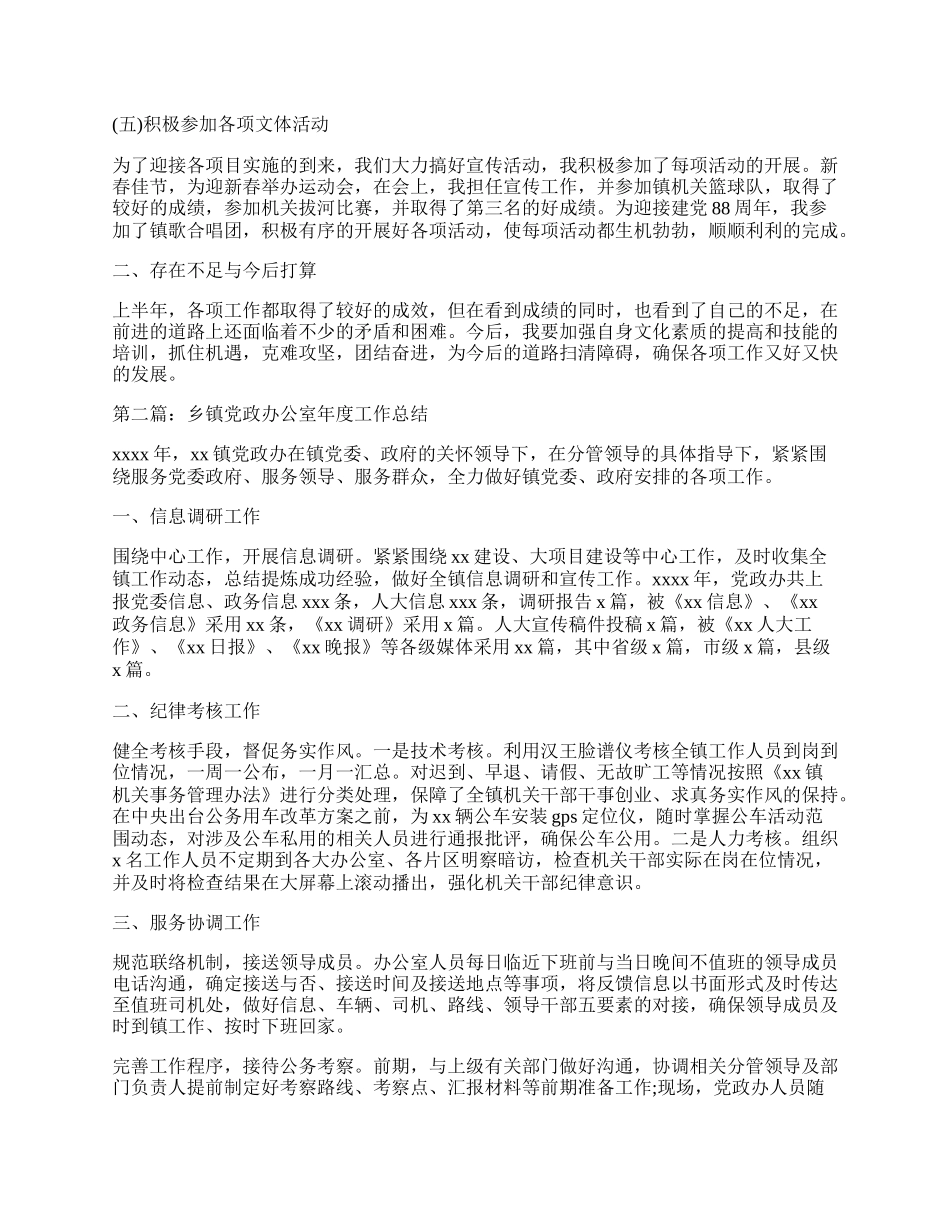 乡镇党政办公室工作总结.docx_第2页