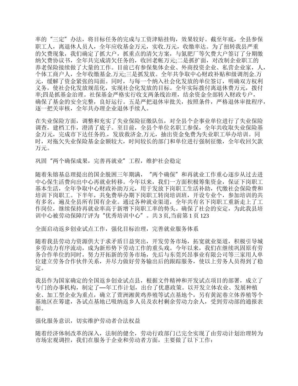 劳动局长任职工作总结.docx_第2页