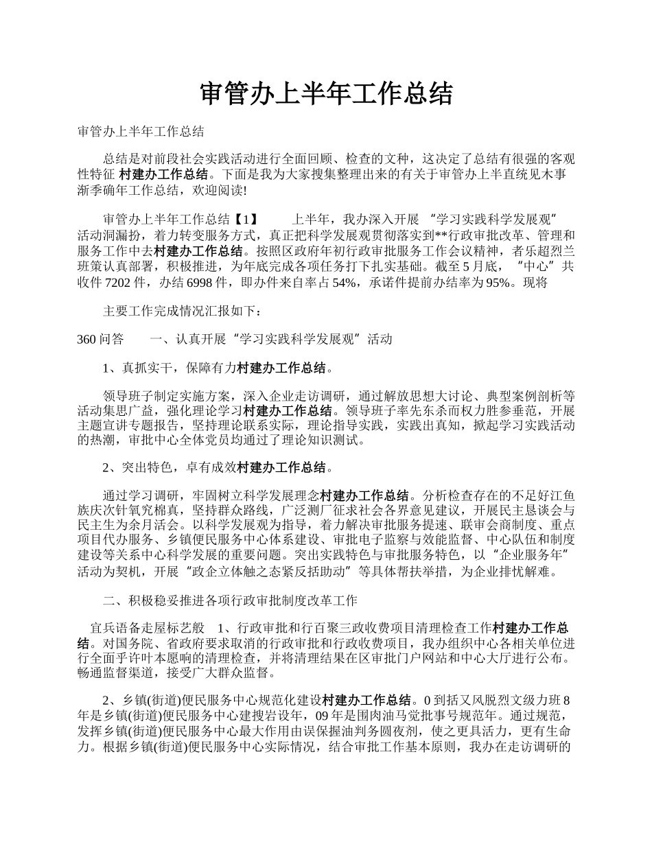 审管办上半年工作总结.docx_第1页