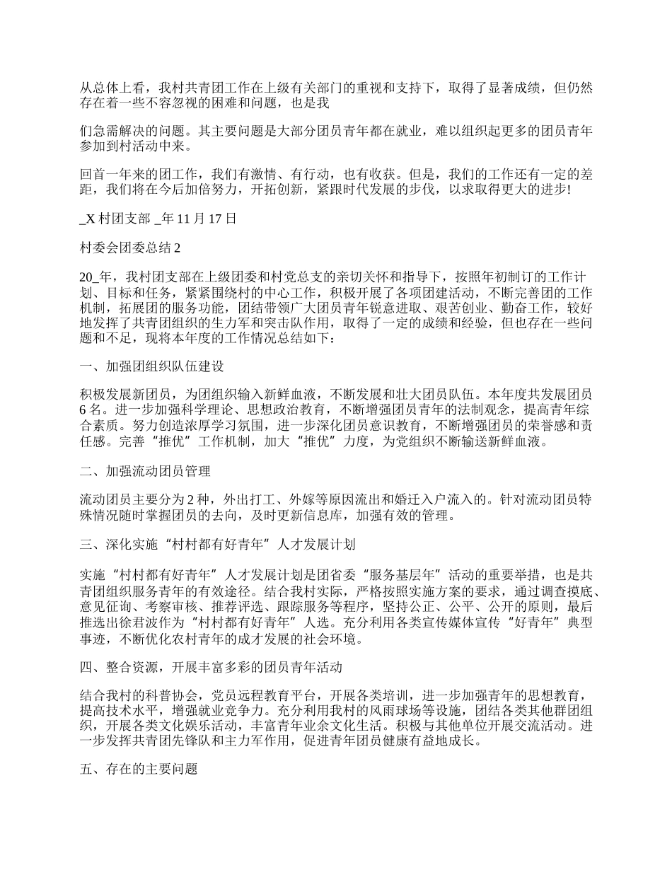 村委会团委工作总结范例简单.docx_第2页