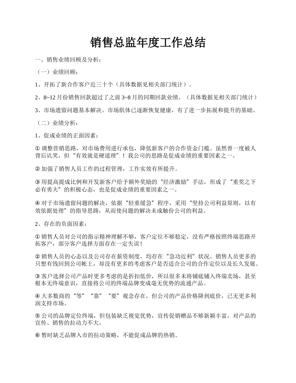 销售总监年度工作总结.docx_第1页