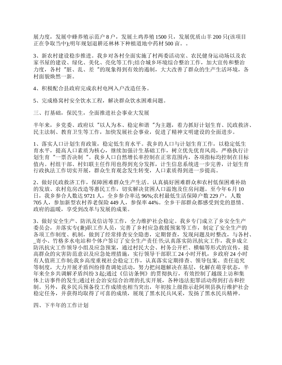 乡镇半年度个人总结范本简单.docx_第2页