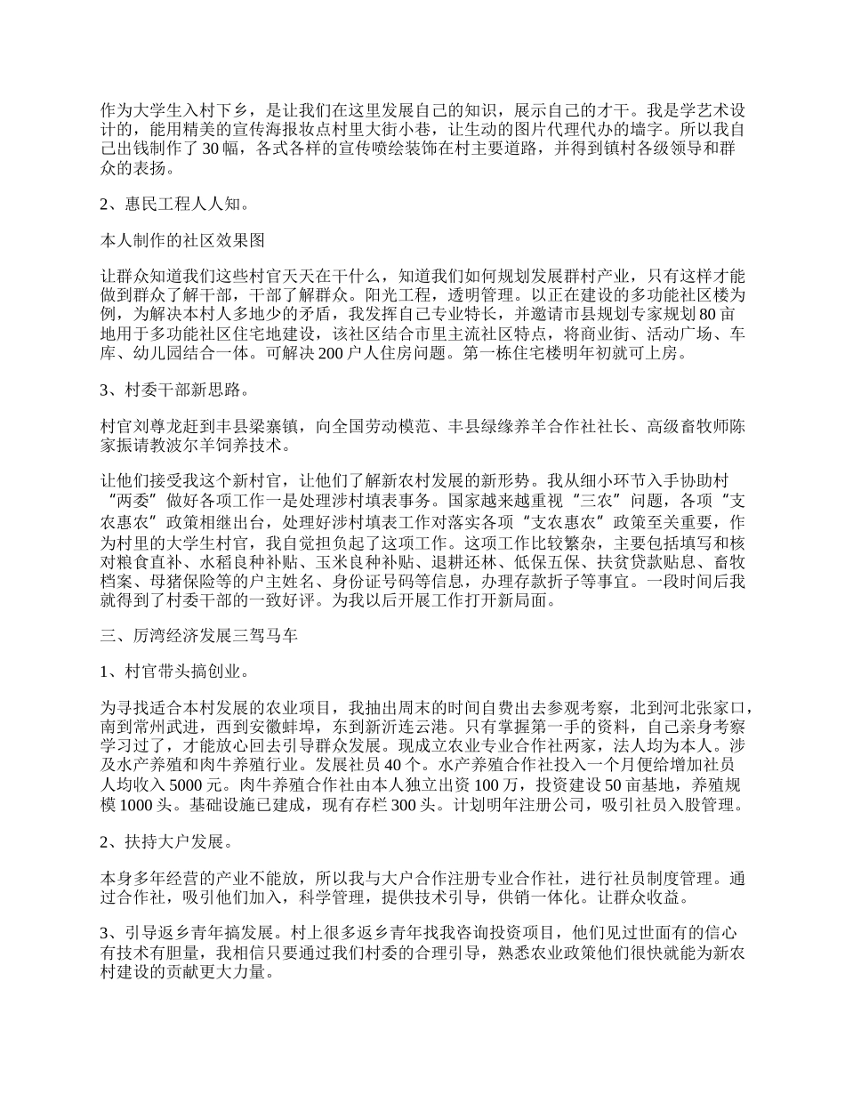 乡镇大学生村官总结.docx_第3页