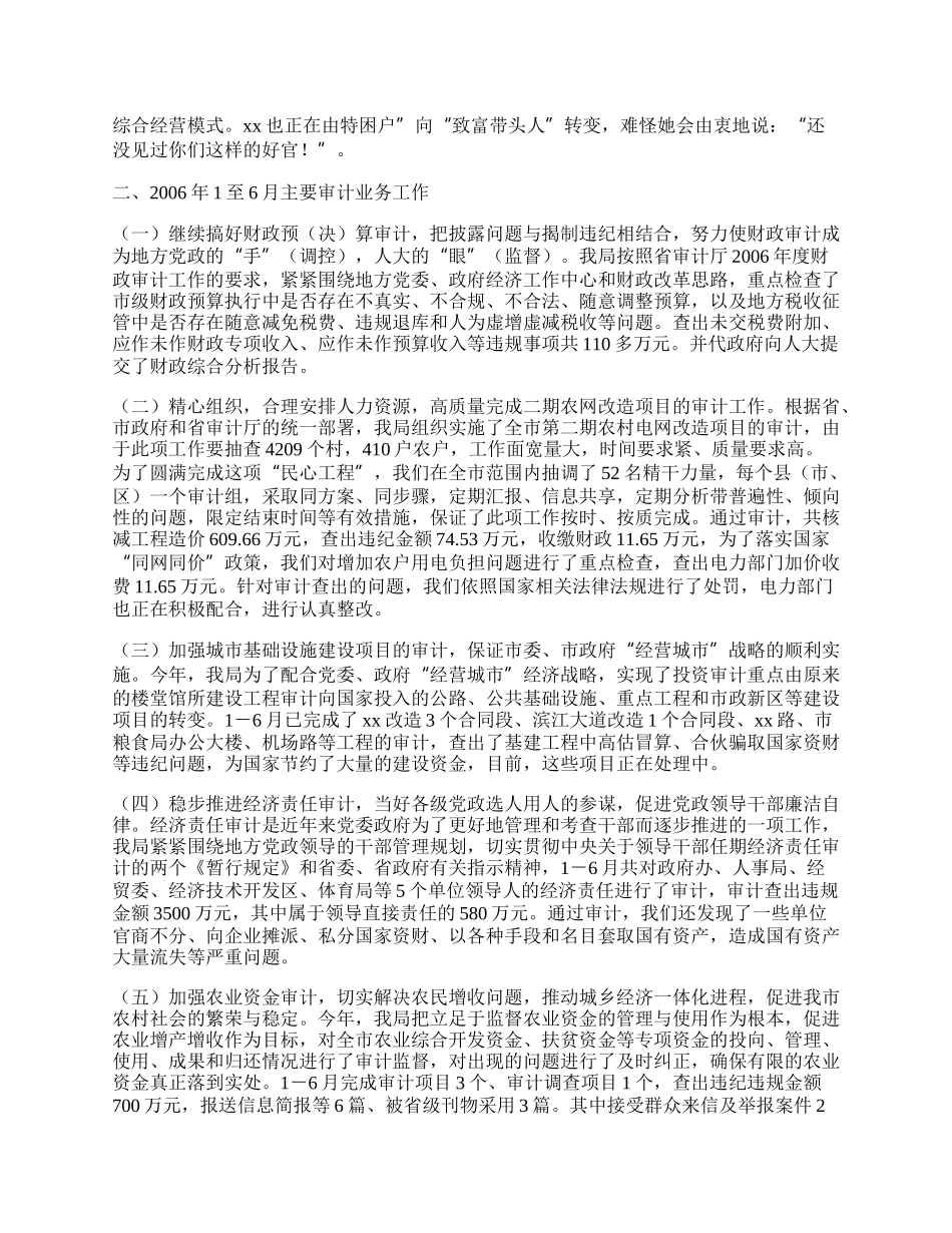 上半年审计工作总结.docx_第2页