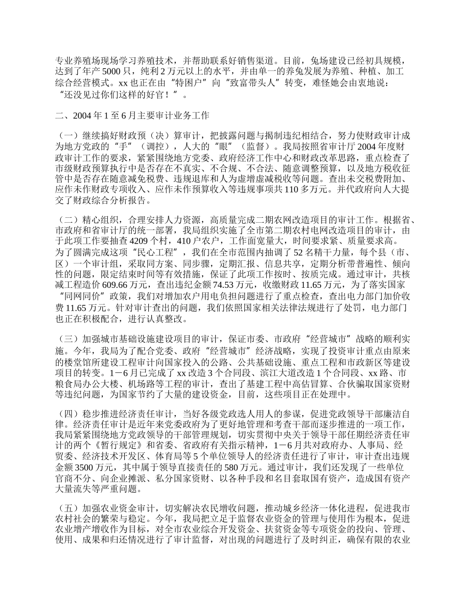 市审计局半年工作总结.docx_第2页