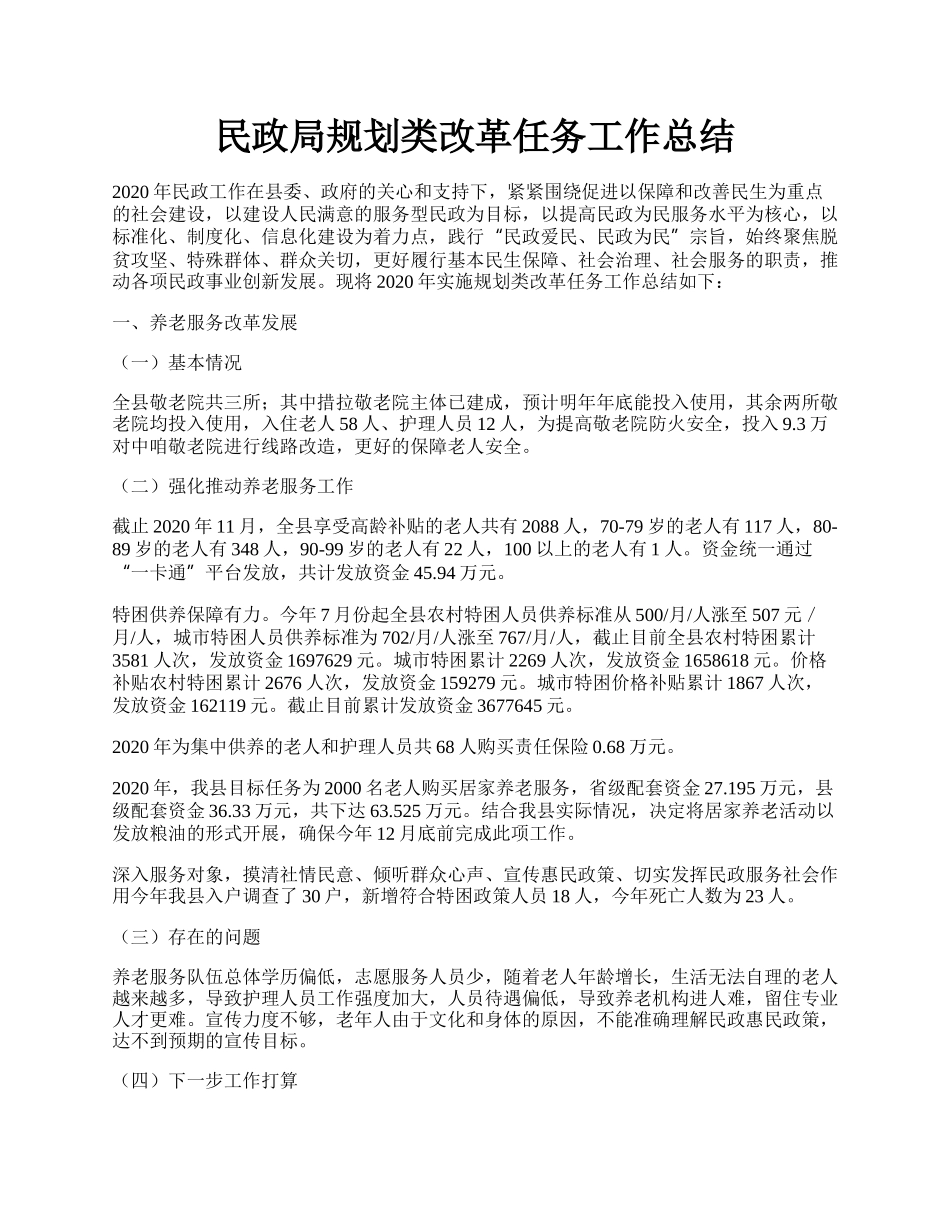 民政局规划类改革任务工作总结.docx_第1页