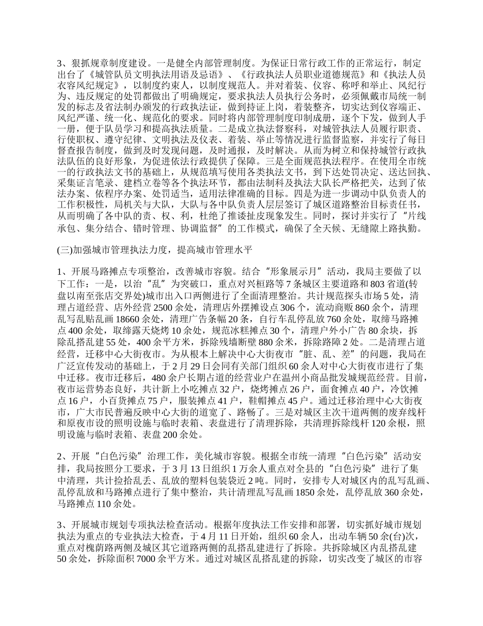 中心镇数字城管工作总结模板.docx_第2页