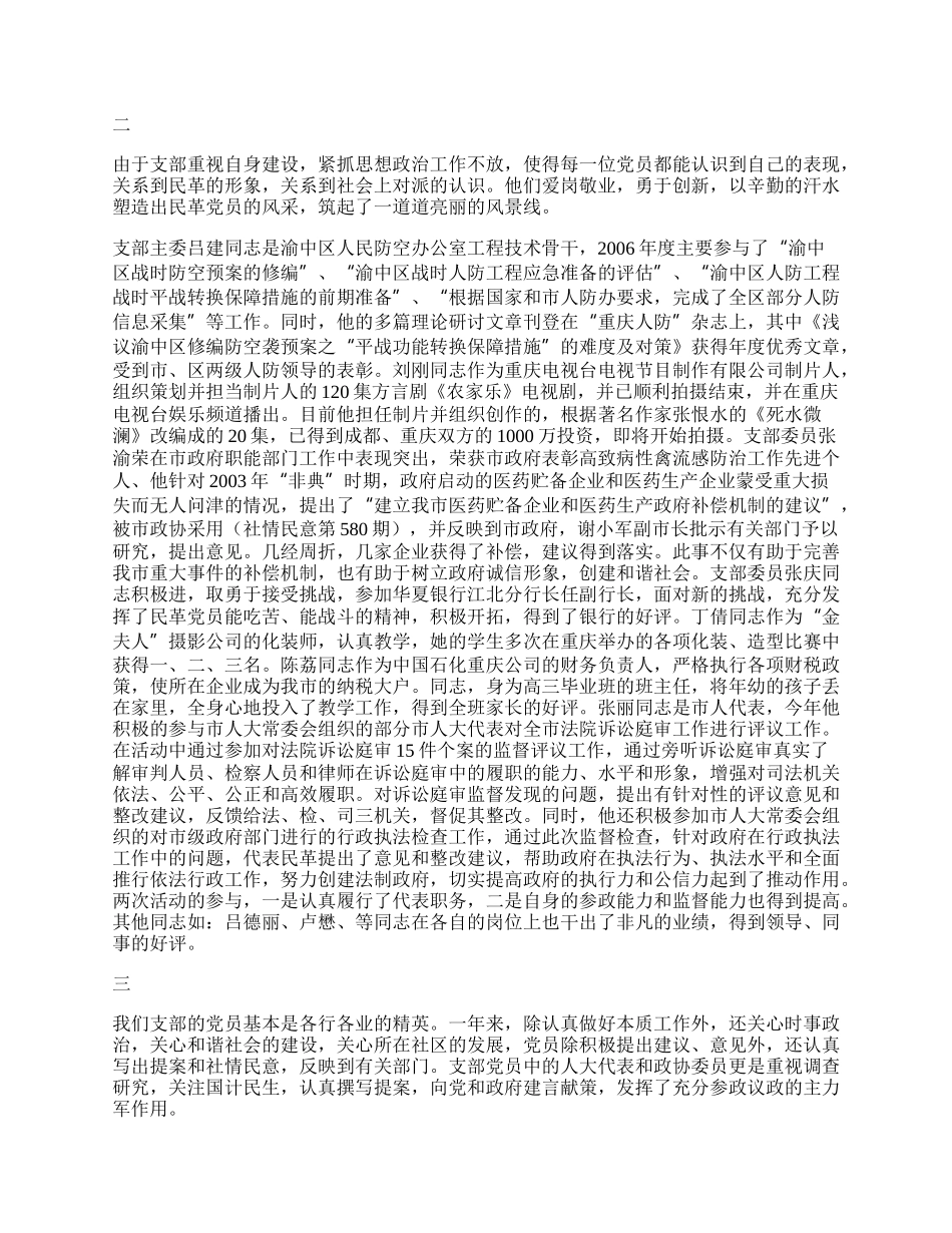 派支部终工作总结.docx_第2页