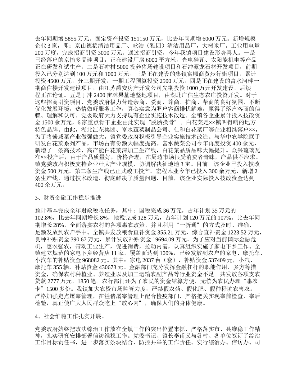 乡镇党委政府工作总结.docx_第3页