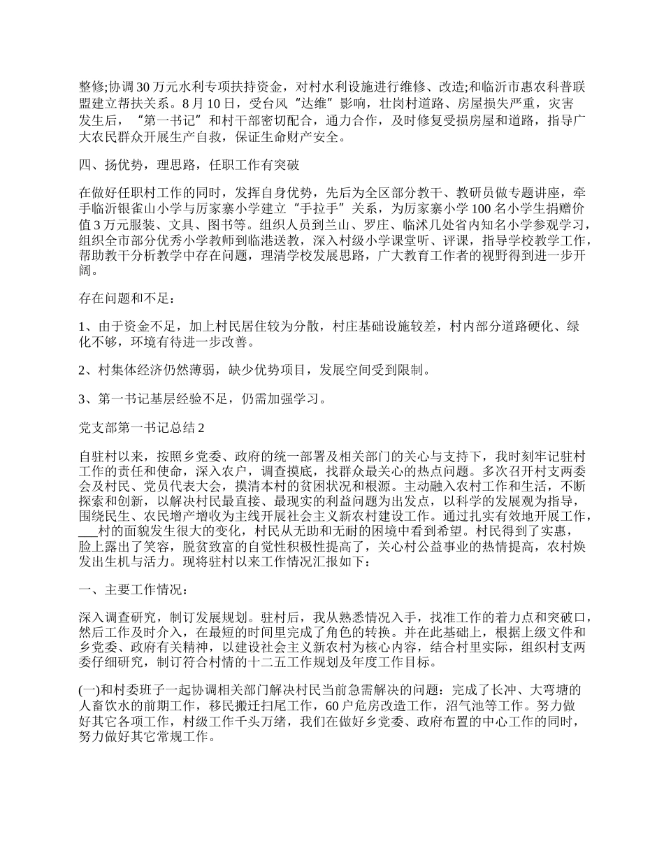 村党支部第一书记工作总结模板范文.docx_第2页