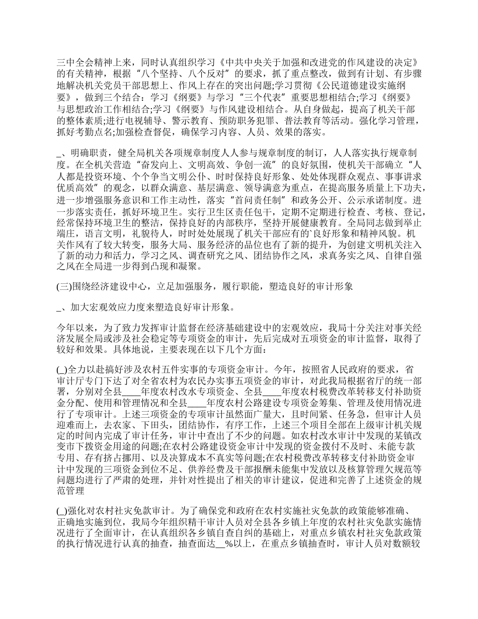 审计个人的工作总结范本.docx_第2页