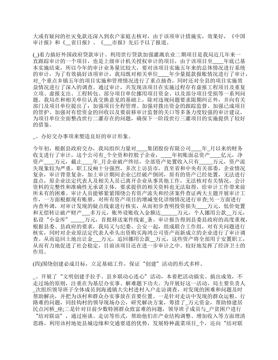 审计个人的工作总结范本.docx_第3页