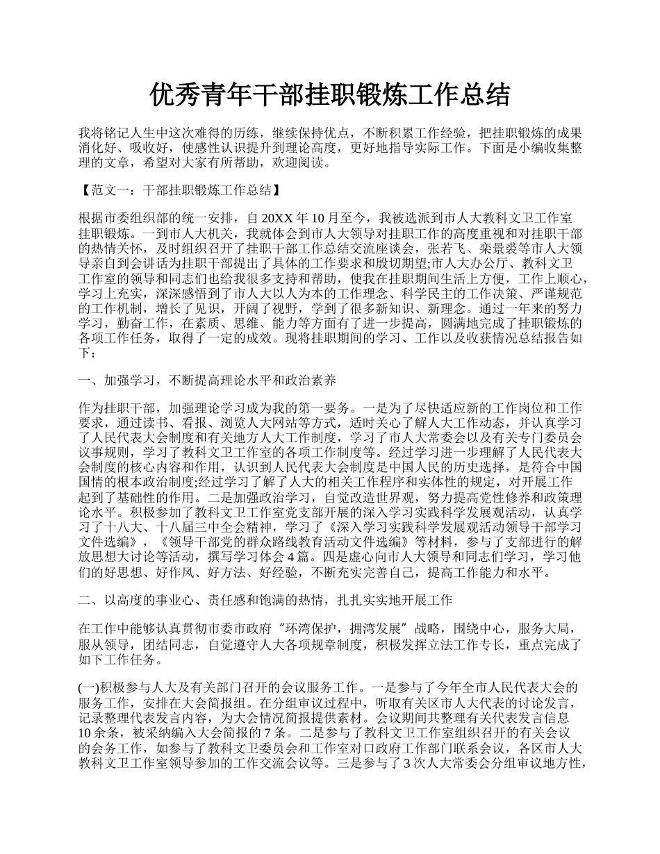 优秀青年干部挂职锻炼工作总结.docx_第1页