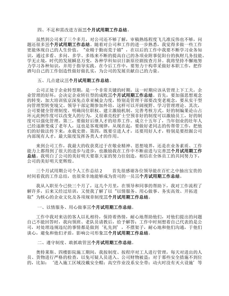 三个月试用期公司个人工作总结.docx_第2页