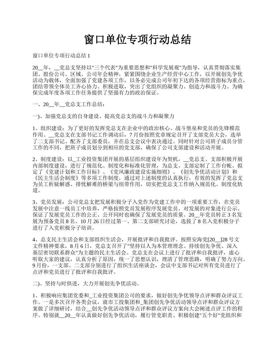 窗口单位专项行动总结.docx_第1页