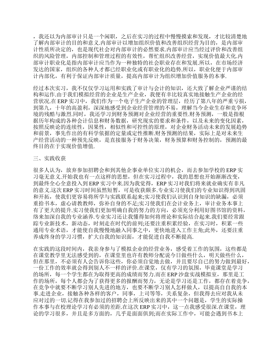 精选的审计工作者总结报告五.docx_第3页