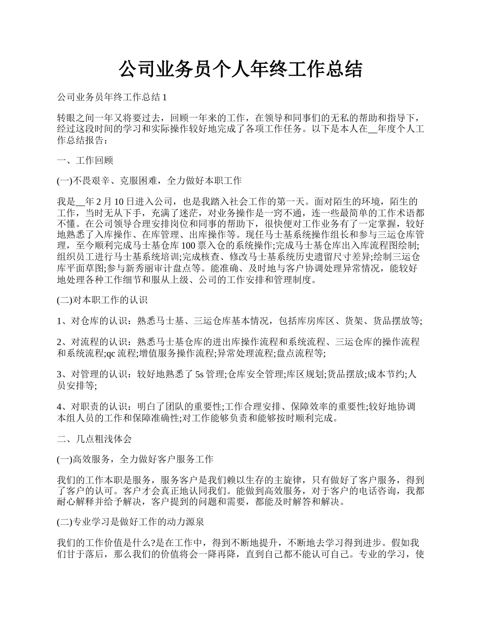 公司业务员个人年终工作总结.docx_第1页