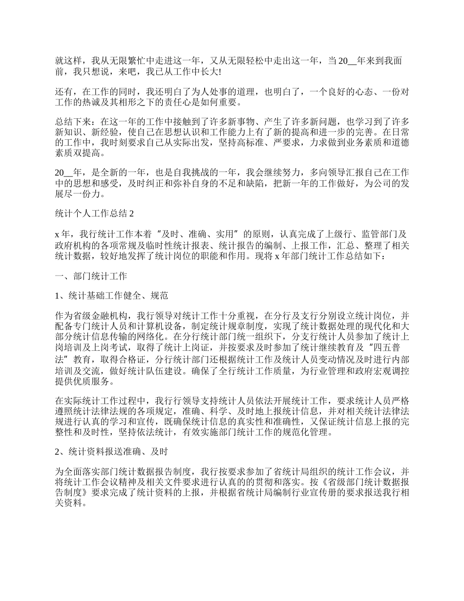 统计个人工作总结.docx_第2页