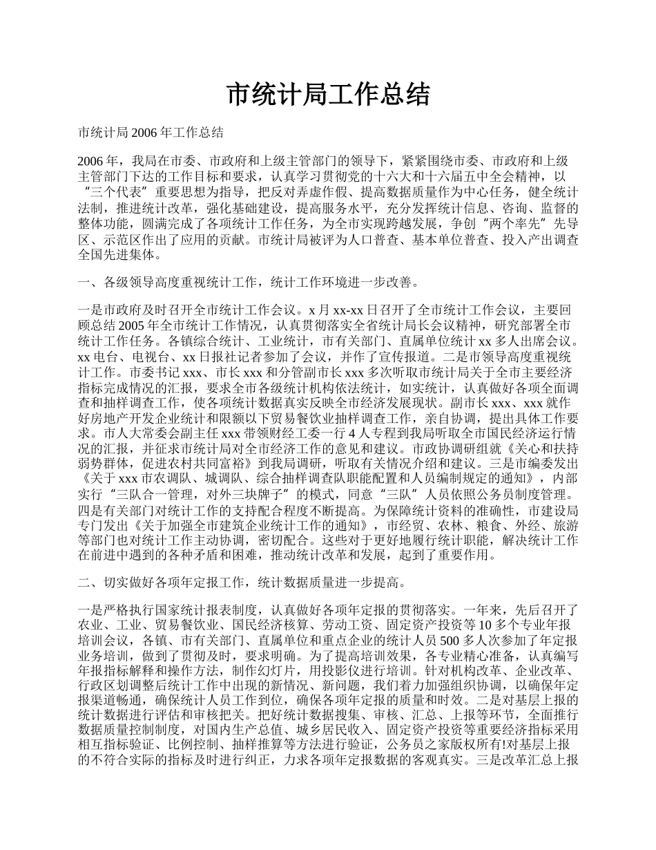 市统计局工作总结.docx_第1页