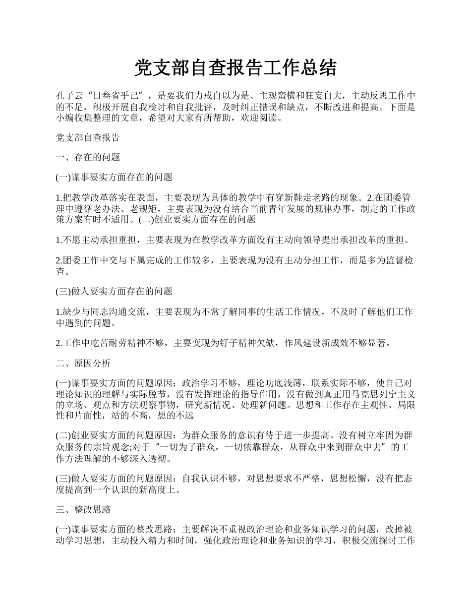 党支部自查报告工作总结.docx_第1页