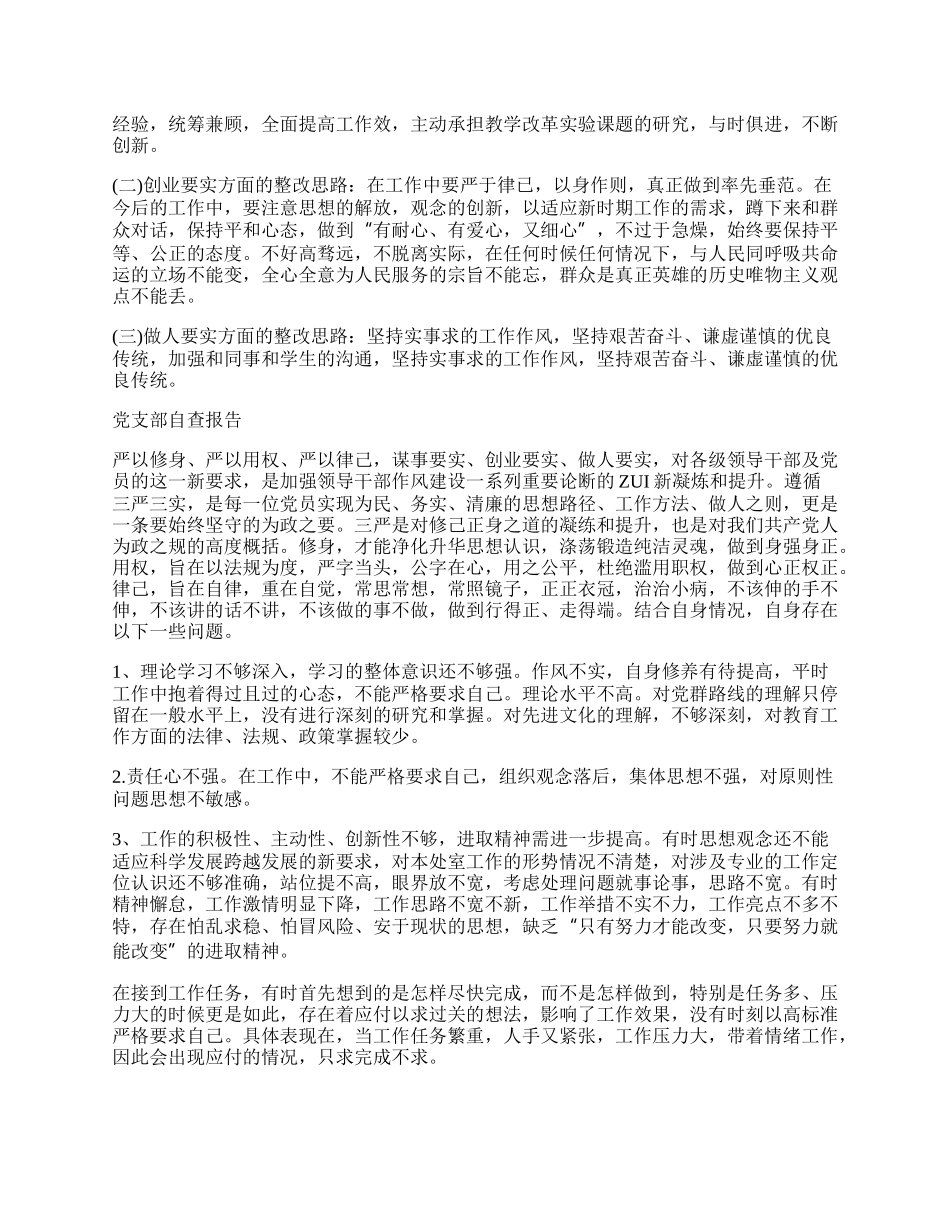 党支部自查报告工作总结.docx_第2页