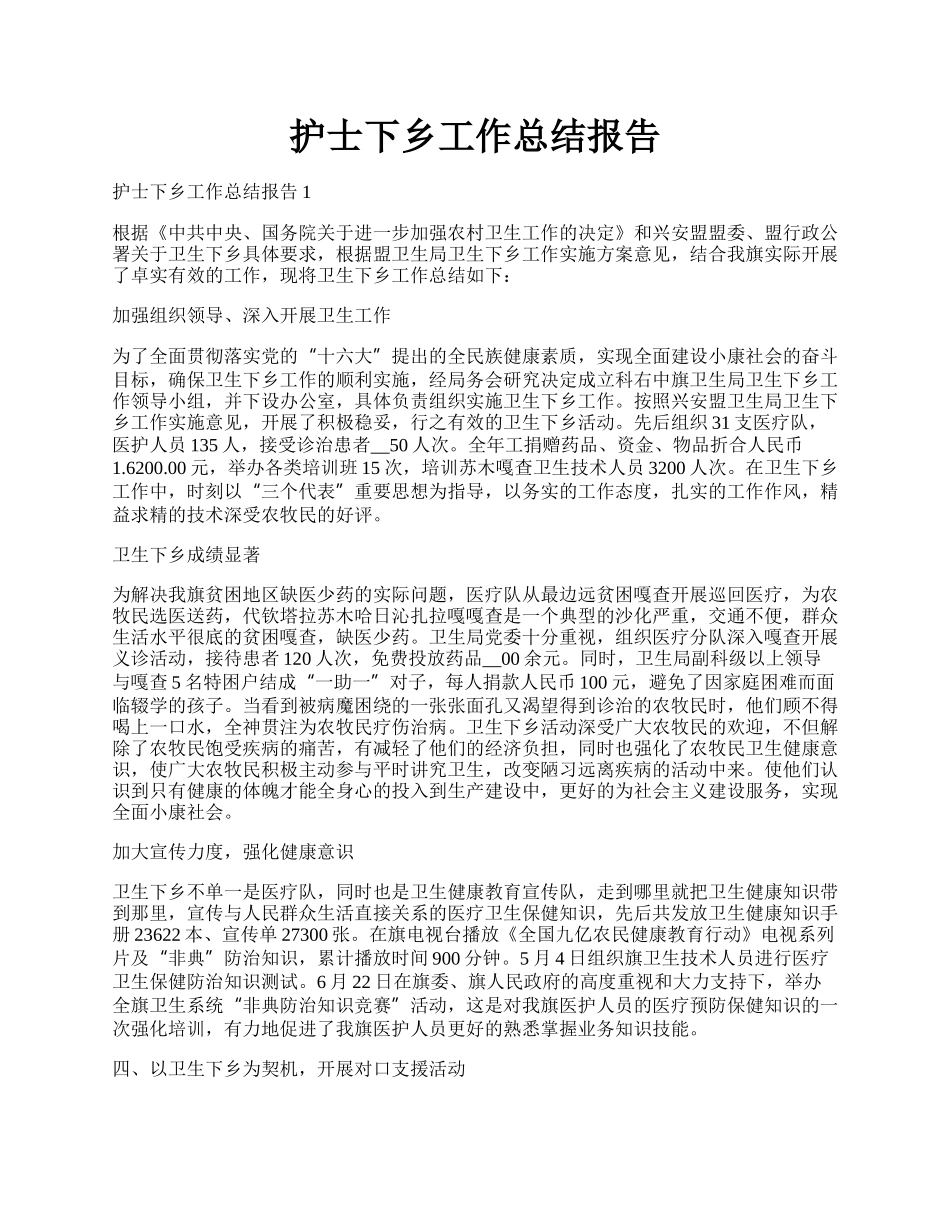 护士下乡工作总结报告.docx_第1页