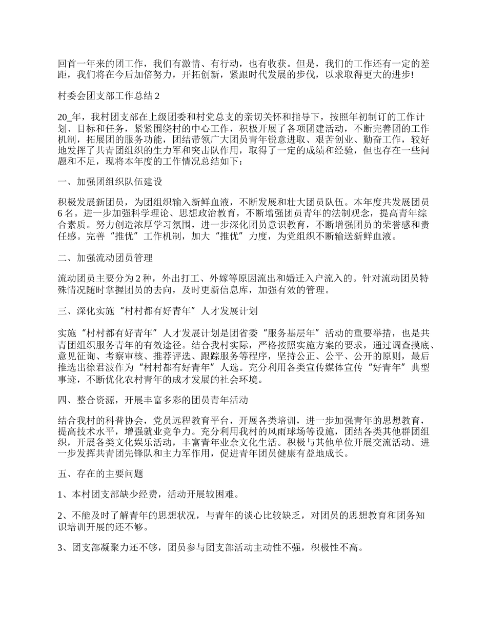 村委会团支部工作总结最新范本.docx_第2页