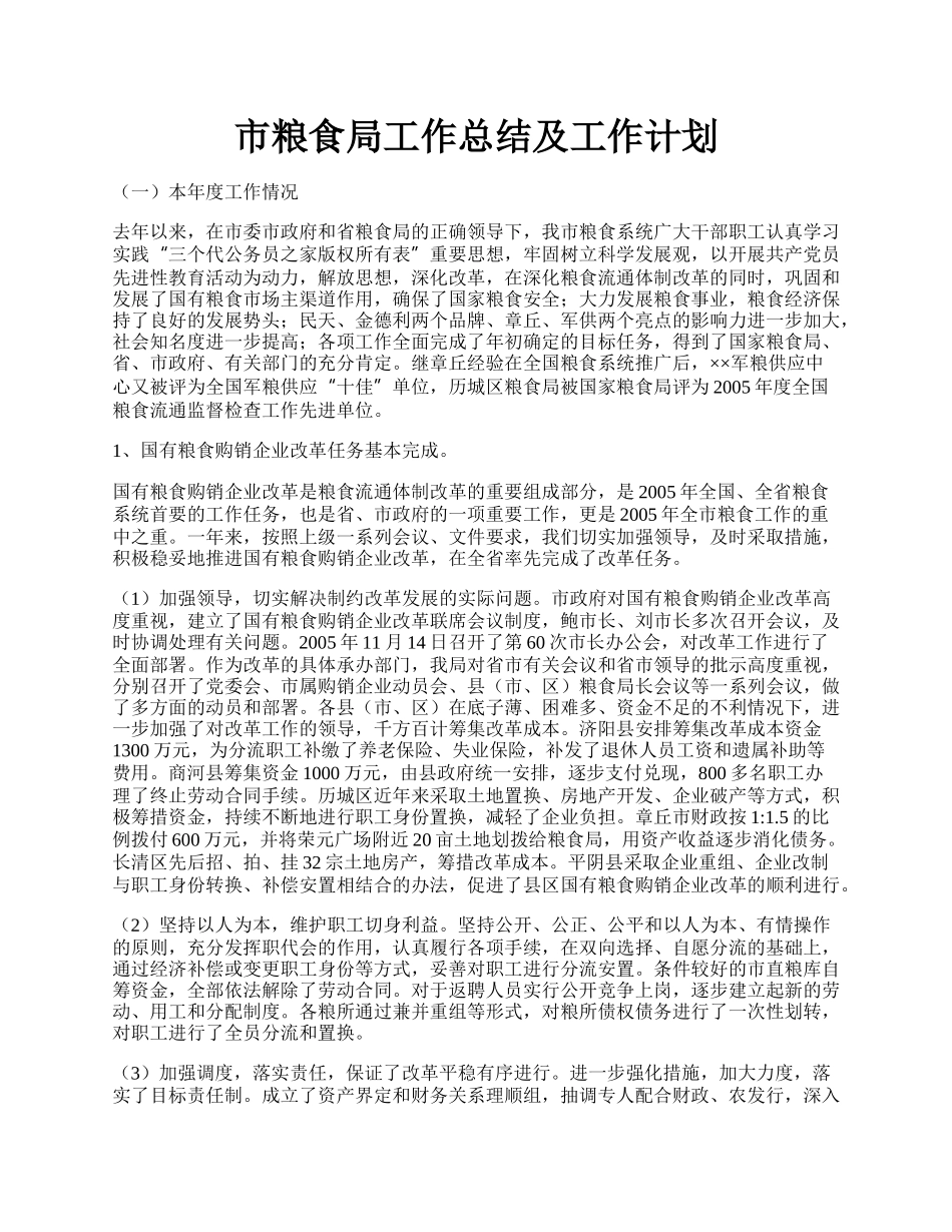 市粮食局工作总结及工作计划.docx_第1页