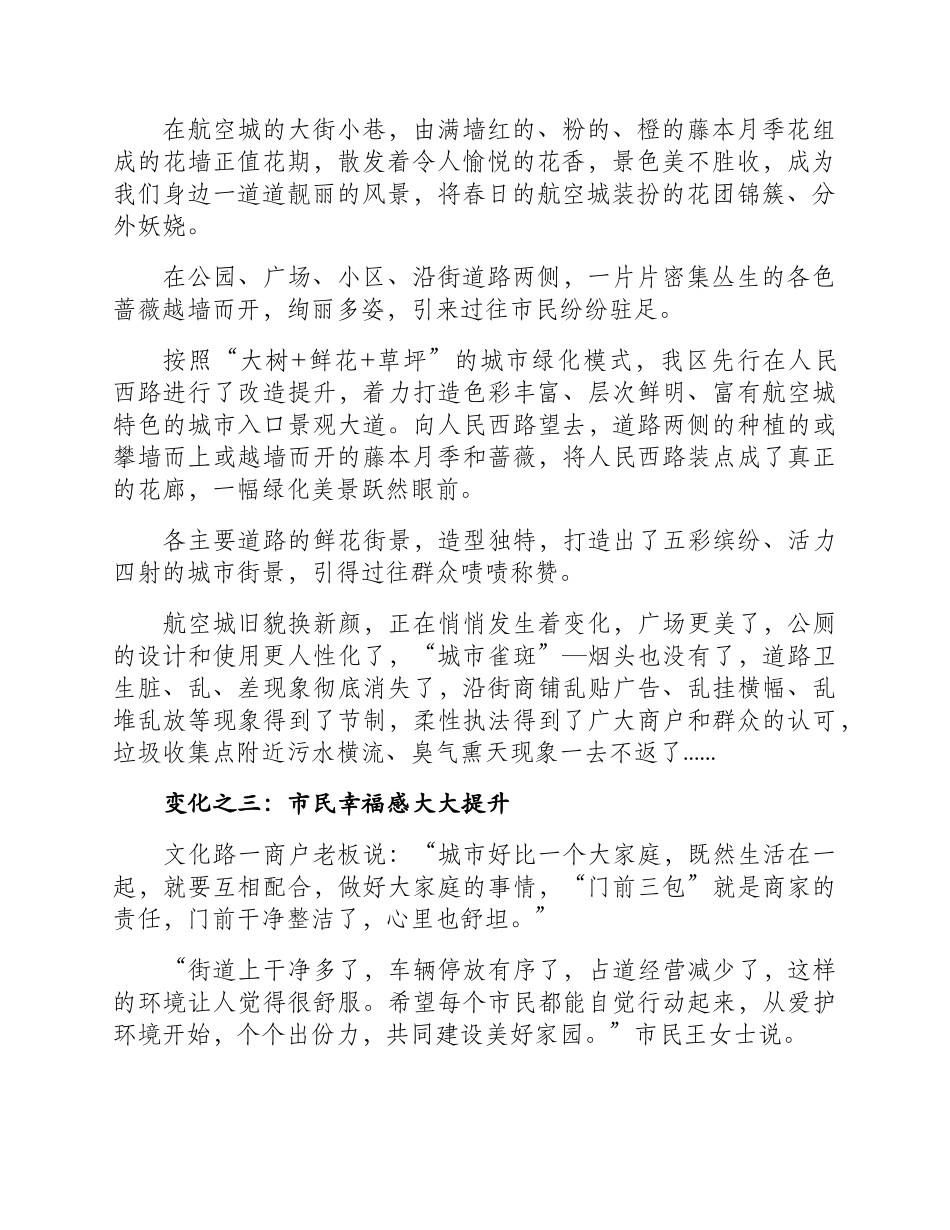 环境美，人心乐，共建美丽航空城.docx_第2页