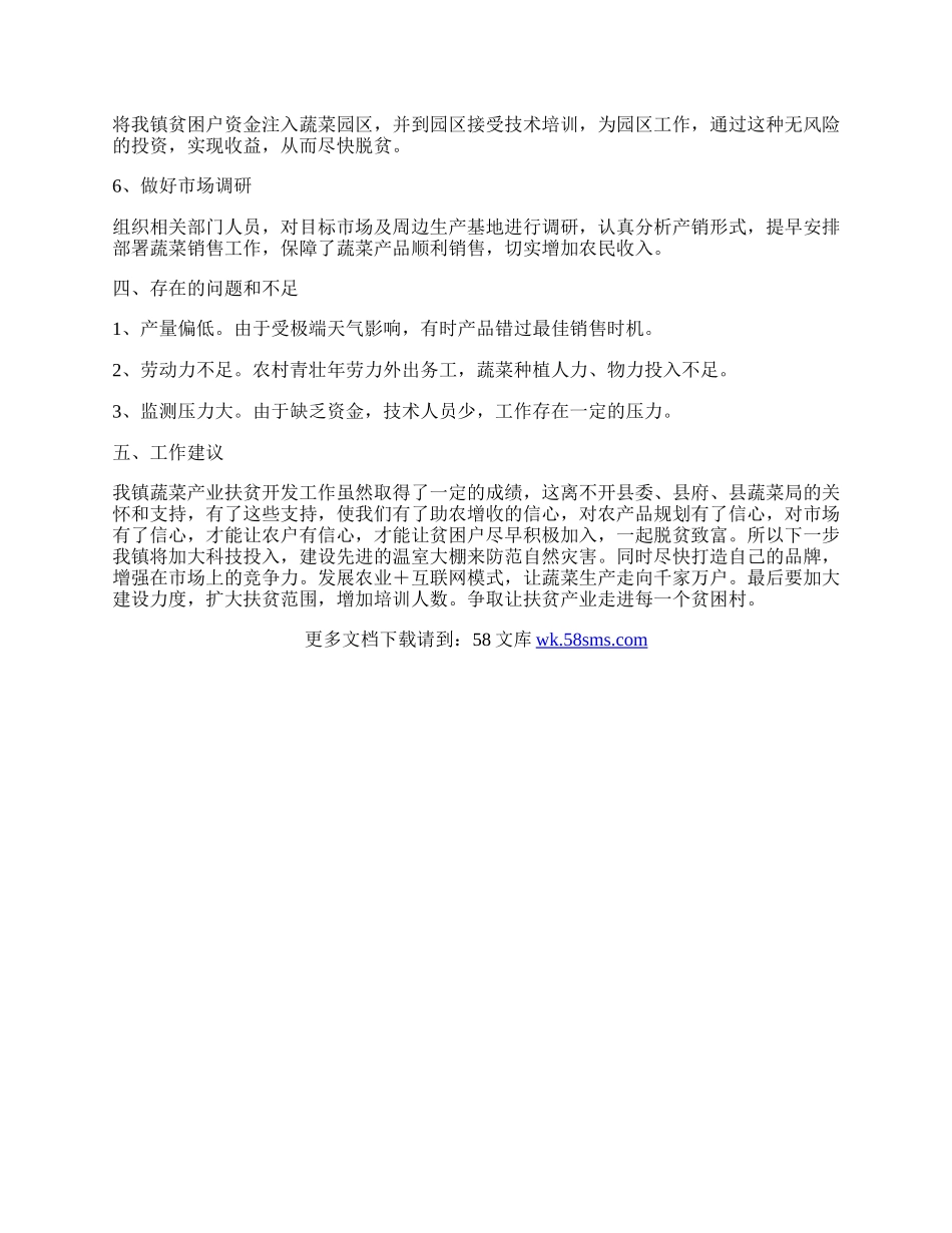 蔬菜产业扶贫开发调研报告.docx_第2页