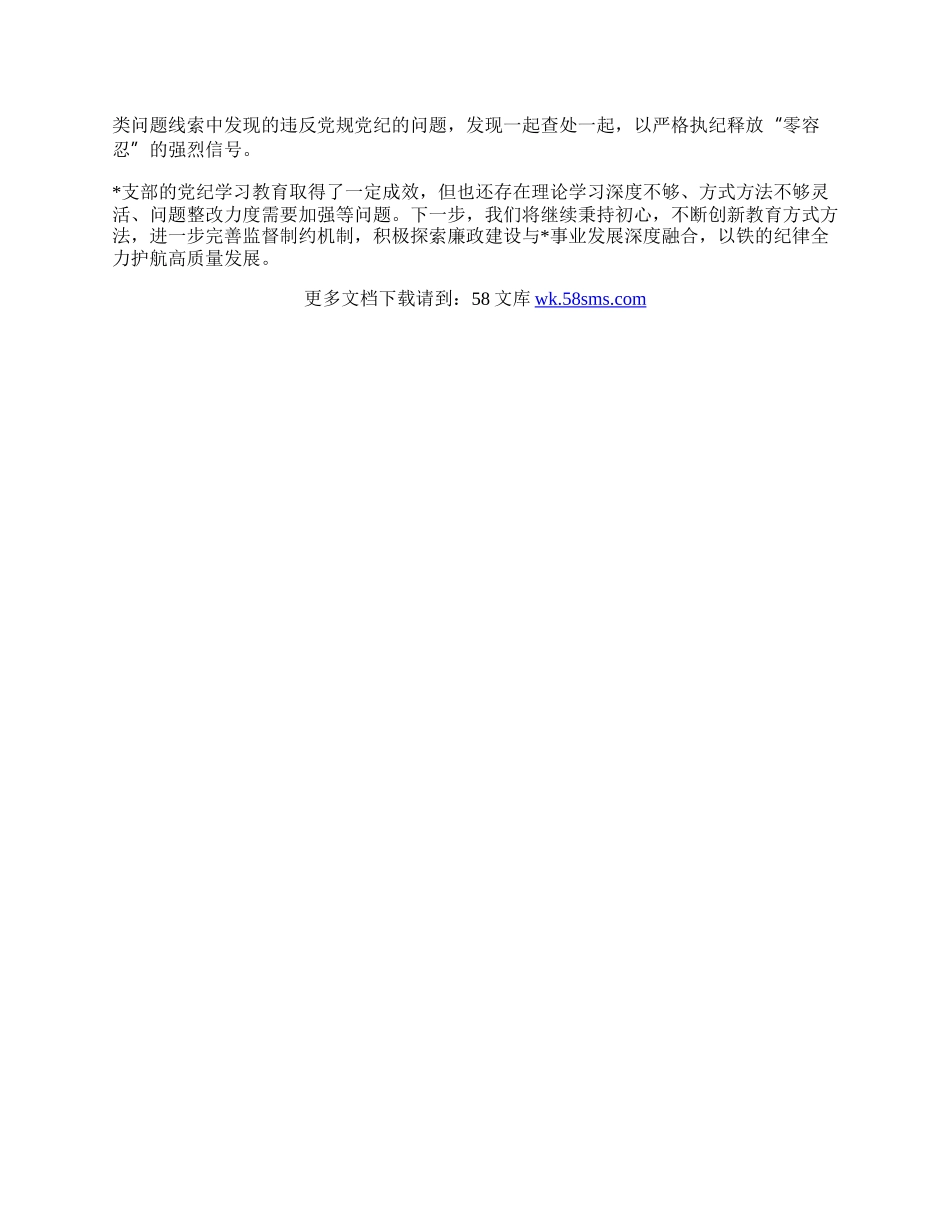 支部开展党纪学习教育工作情况总结.docx_第2页