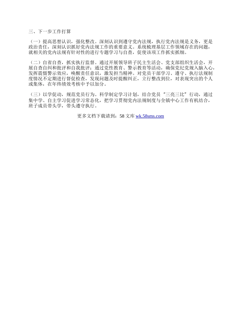 乡镇党内法规责任制执行情况自查报告.docx_第2页