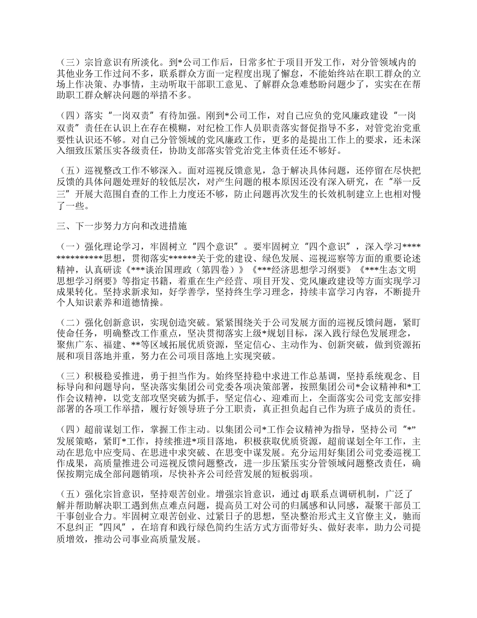 国有企业巡视整改专题民主生活会个人检视剖析材料提纲.docx_第2页