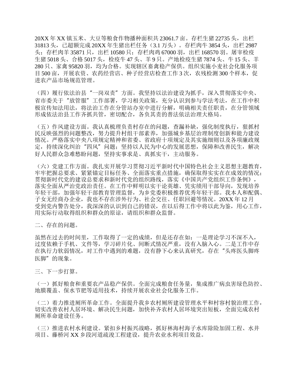 乡科级领导干部个人述职报告.docx_第2页