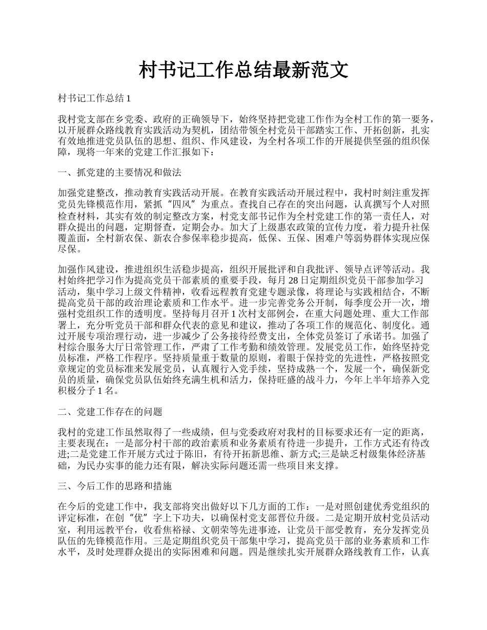 村书记工作总结最新范文.docx_第1页