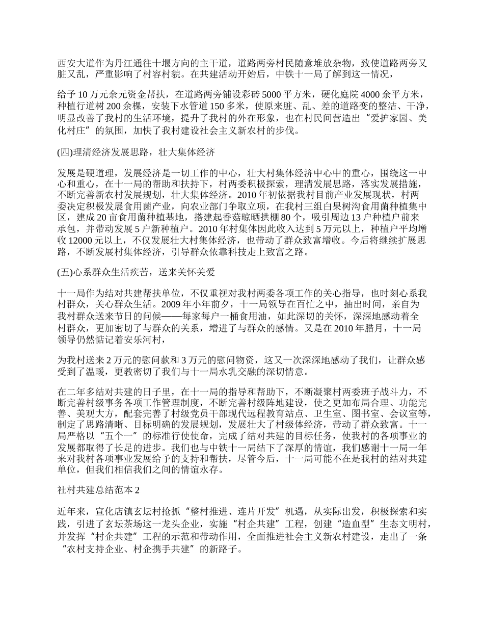 社村共建总结范本.docx_第2页